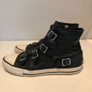 Ash Limited Edition Sneakers